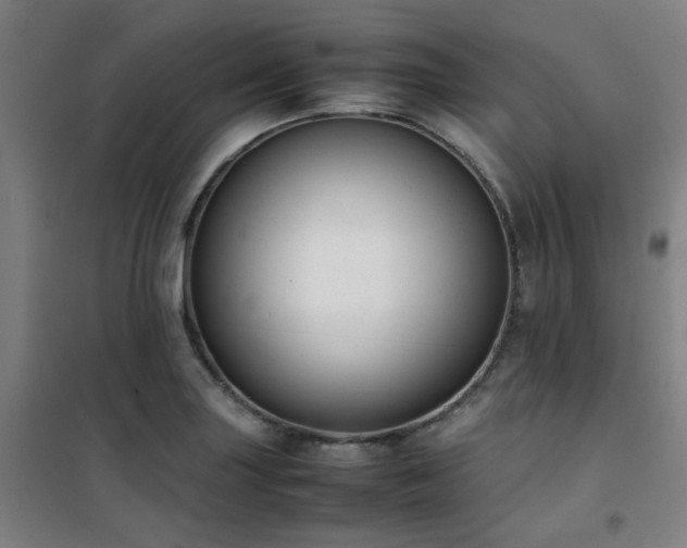 X0000101661227200807101247