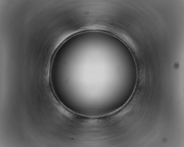 X0000101661228200807101247