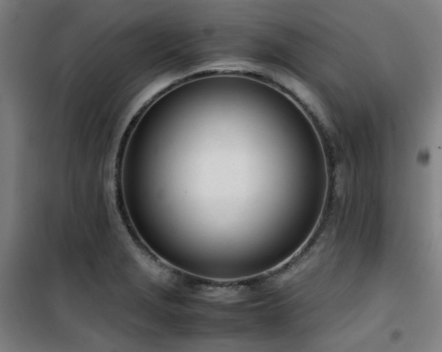 X0000101661229200807101247