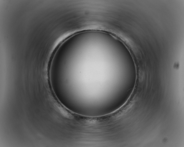 X0000101661230200807101247
