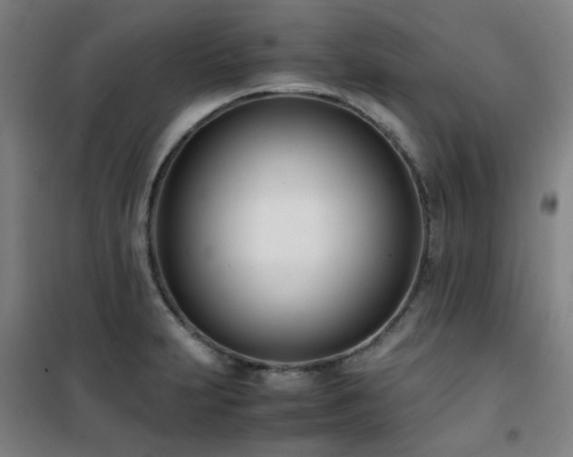 X0000101661231200807101247