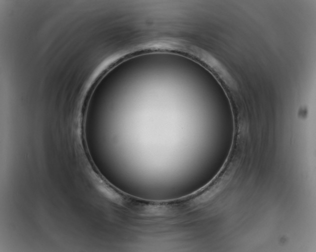 X0000101661232200807101247