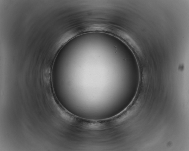 X0000101661233200807101247