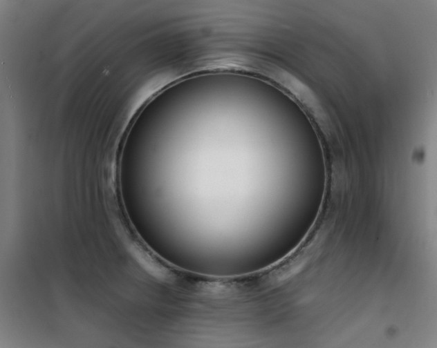 X0000101661234200807101247