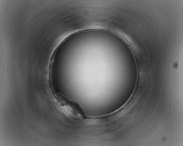 X0000101661236200807101247