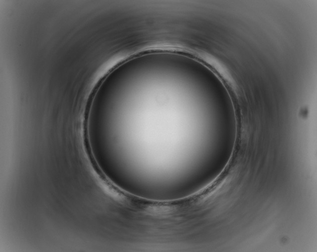 X0000101661237200807101247