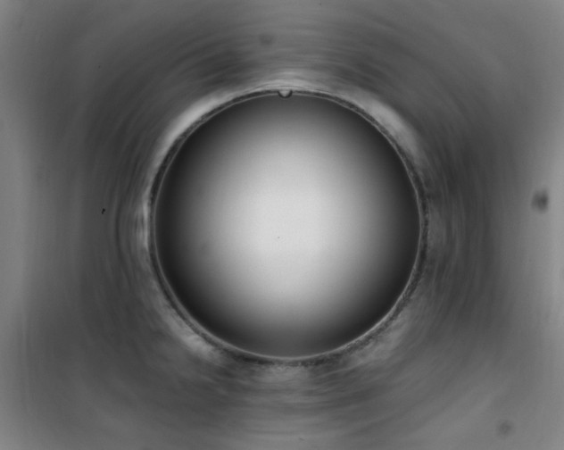 X0000101661238200807101247