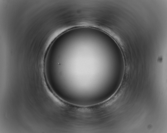 X0000101661239200807101247