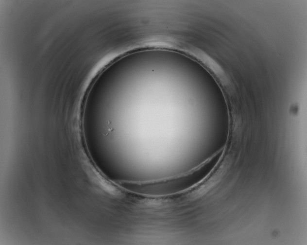 X0000101661240200807101247