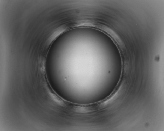 X0000101661241200807101247