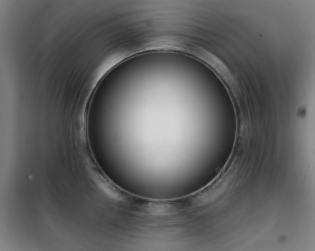X0000101661242200807101247