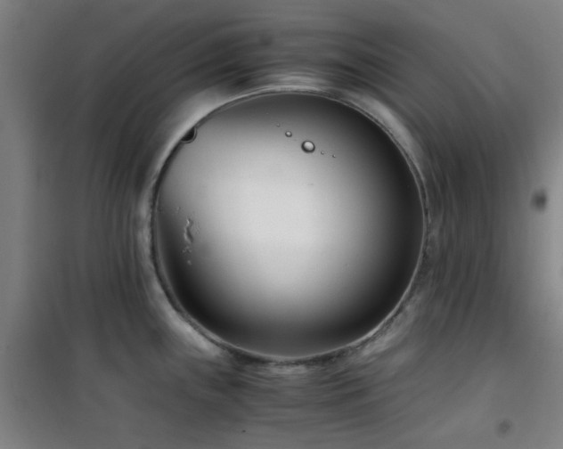 X0000101661243200807101247