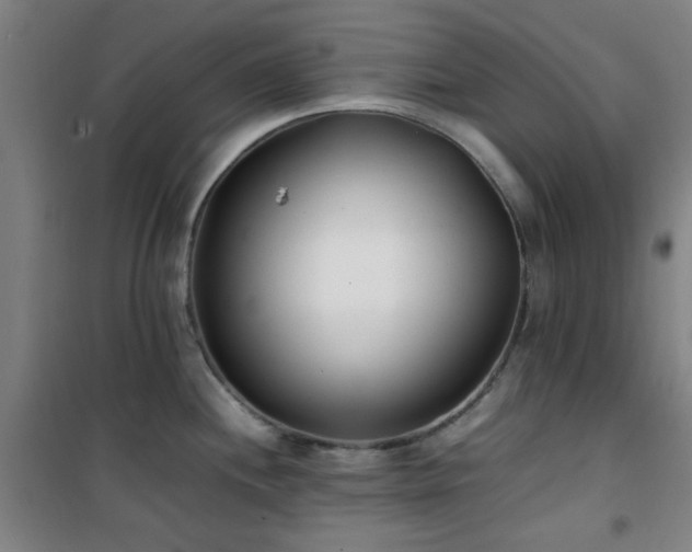 X0000101661244200807101247
