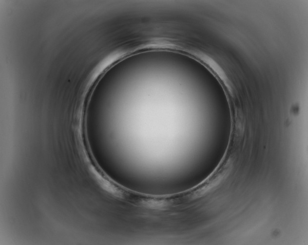 X0000101661245200807101247