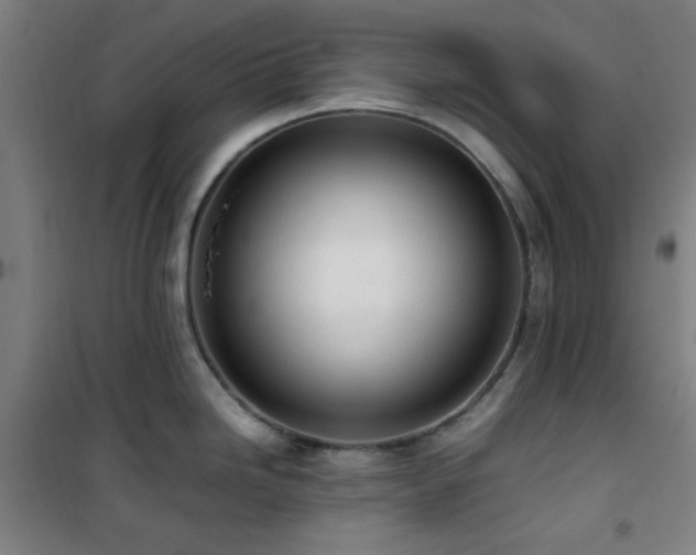 X0000101661246200807101247