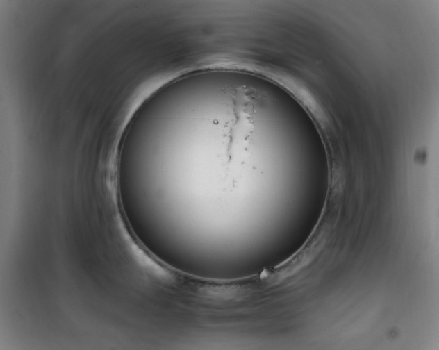 X0000101661247200807101247