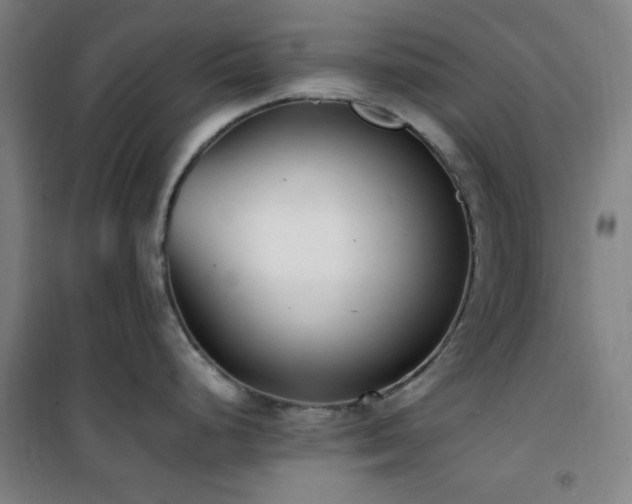 X0000101661248200807101247