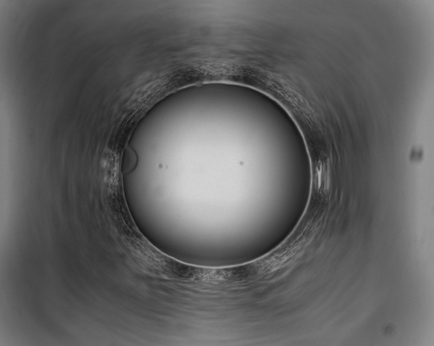 X0000101661251200807101246