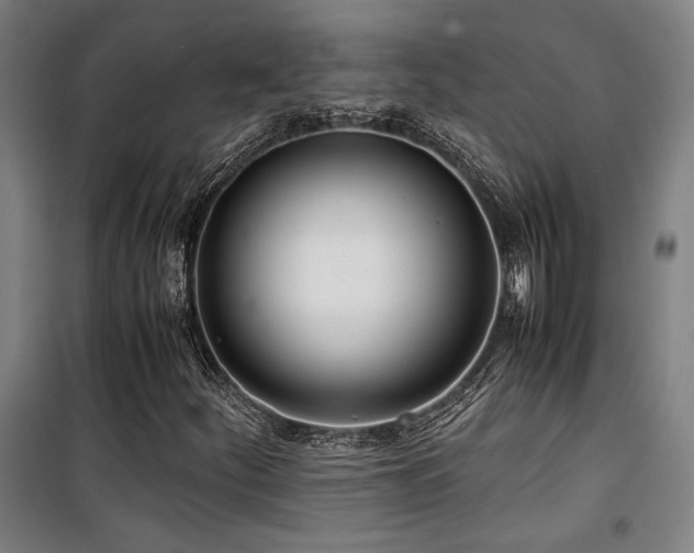 X0000101661252200807101246