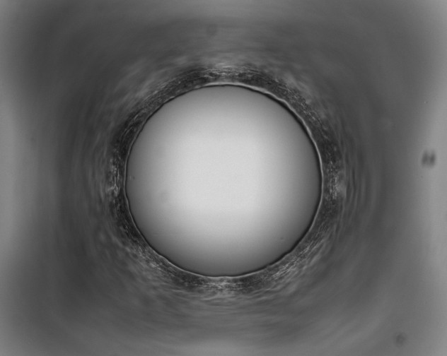 X0000101661253200807101246