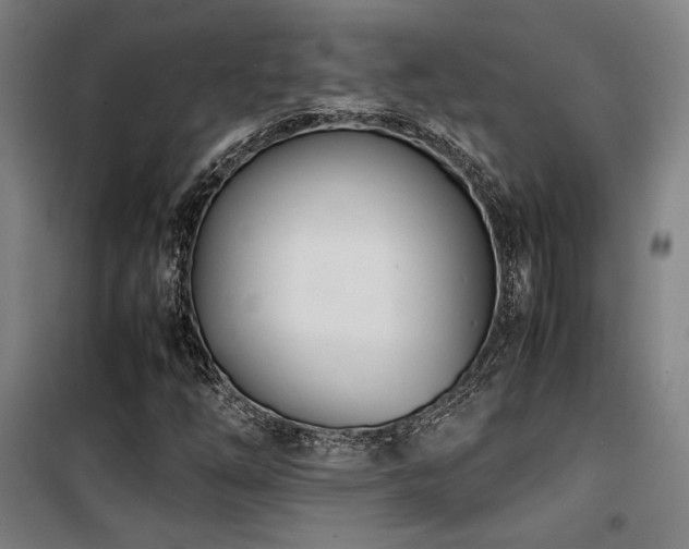 X0000101661254200807101246