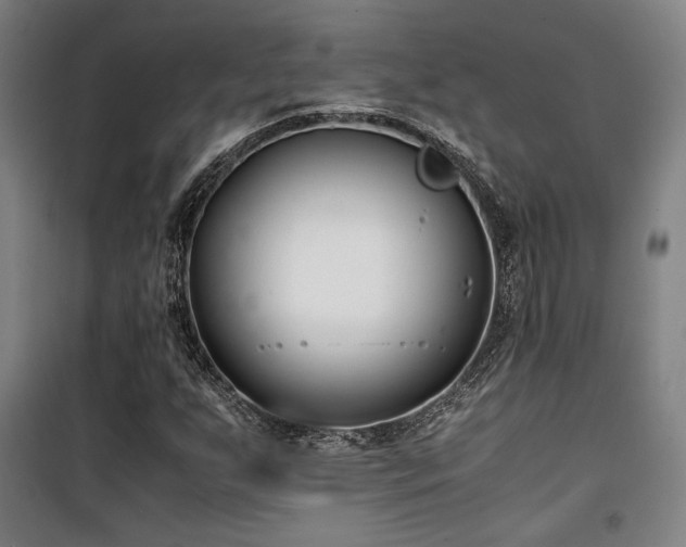 X0000101661255200807101246