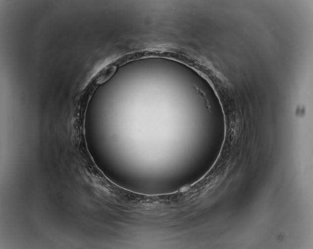 X0000101661256200807101246