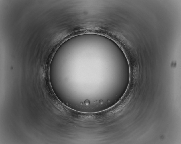 X0000101661257200807101246