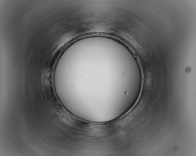 X0000101661258200807101246