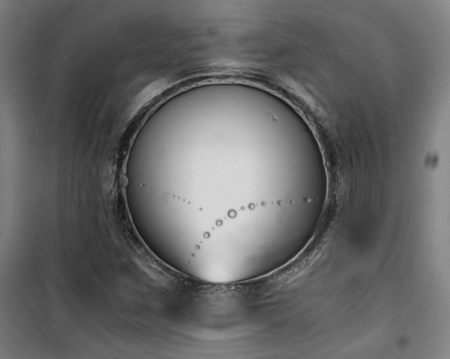 X0000101661259200807101246