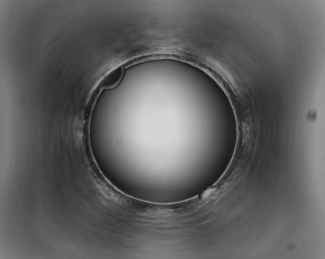 X0000101661260200807101246