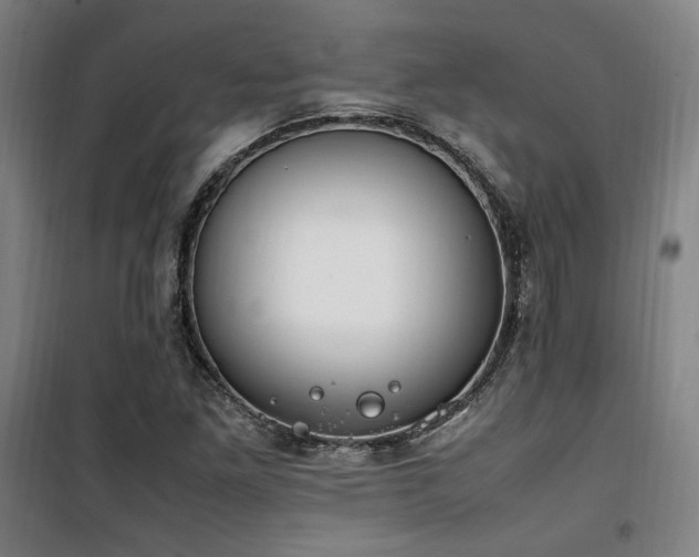 X0000101661261200807101246