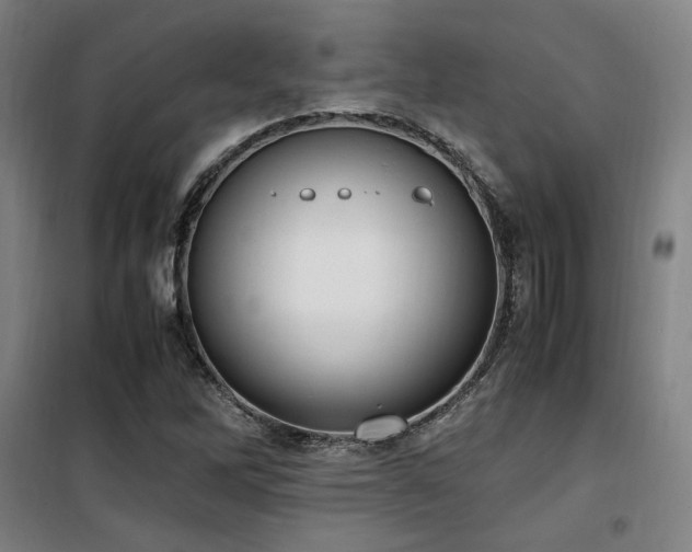 X0000101661262200807101246
