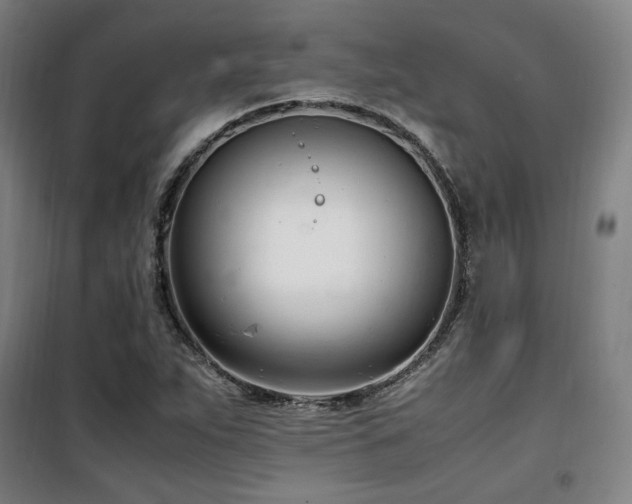 X0000101661263200807101246