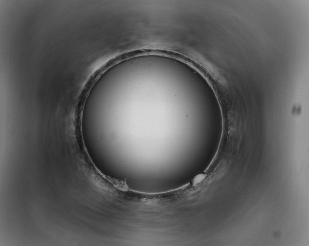 X0000101661264200807101246