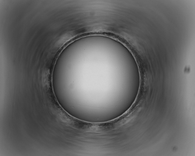 X0000101661265200807101246