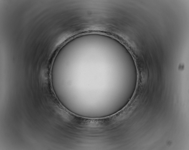X0000101661266200807101246