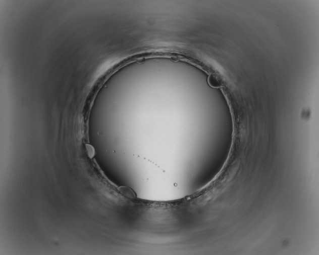 X0000101661267200807101246