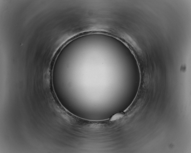 X0000101661268200807101246