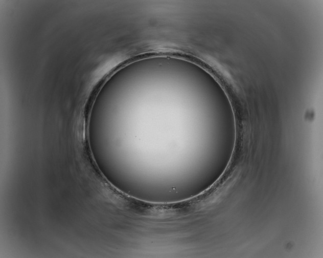 X0000101661269200807101246