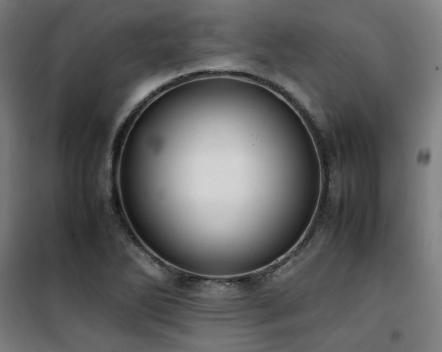 X0000101661270200807101246