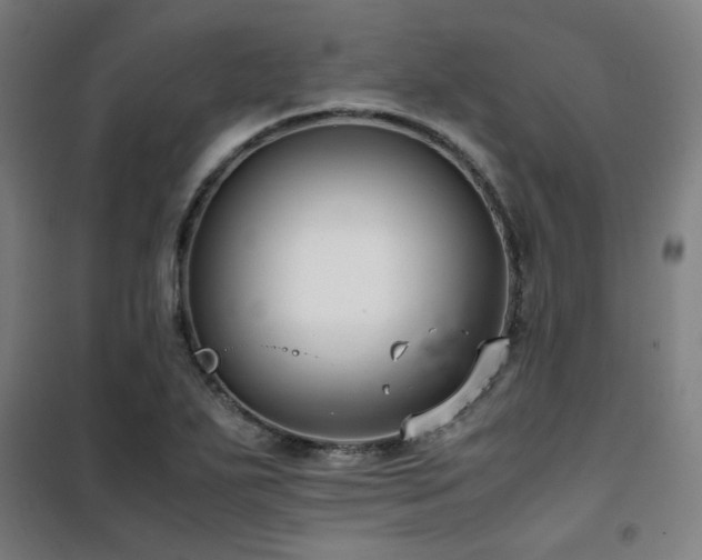 X0000101661271200807101246