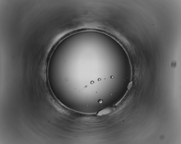 X0000101661272200807101246