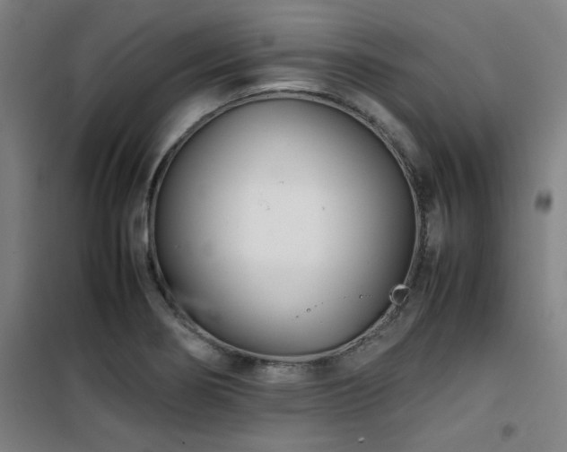 X0000101661274200807101246