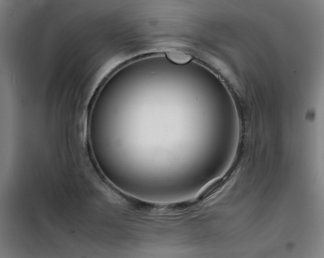 X0000101661275200807101246