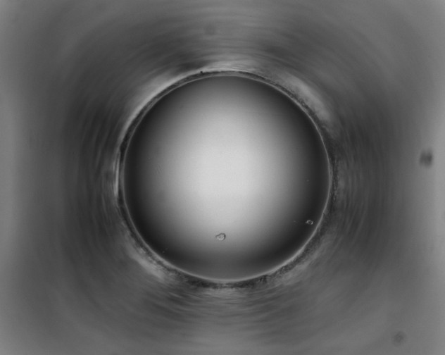 X0000101661276200807101246