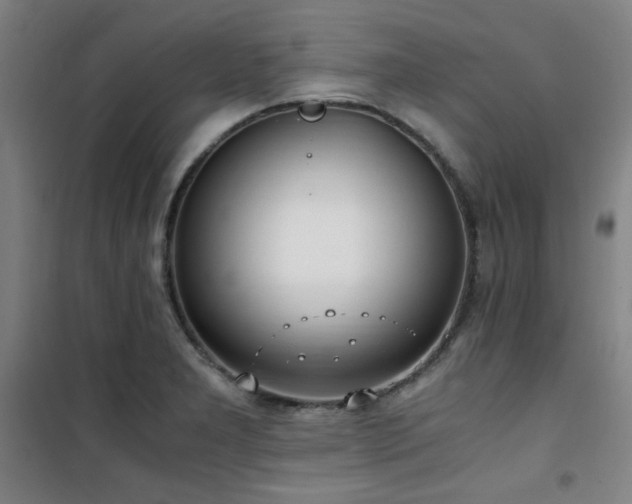 X0000101661277200807101246