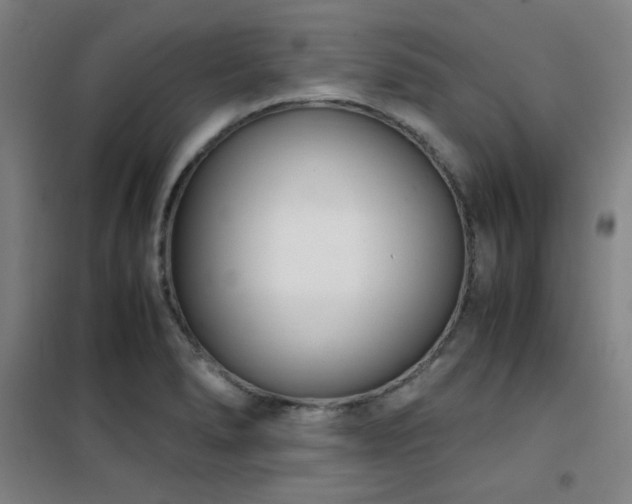 X0000101661278200807101246