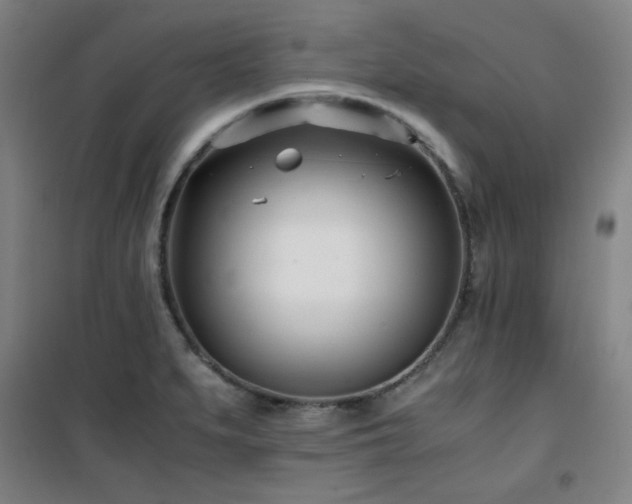 X0000101661279200807101246