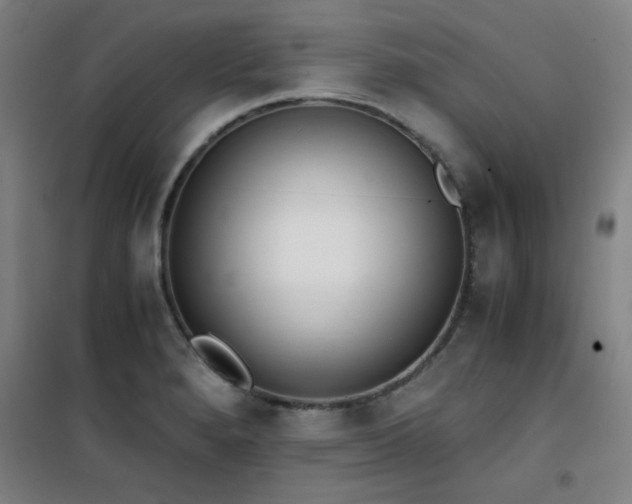 X0000101661280200807101246